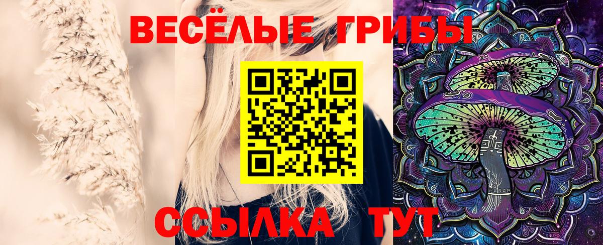 Унеча  Галлюциногенные грибы ЛСД  Псилоцибиновые грибы прущие грибы  Вход с VPN 